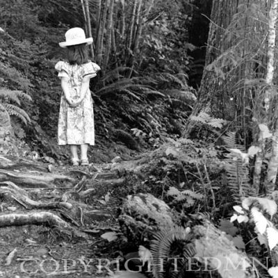 Matilda & The Enchanted Forest, Lake Quinault, Washington 02