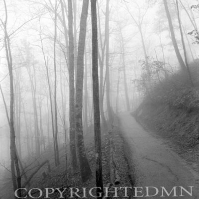 Path In The Mist, Tennessee 93