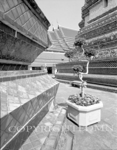Royal Palace Angles, Bancock, Thailand 03