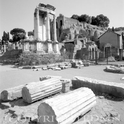 Ruins At The Forum, Italy 01