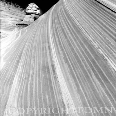 Sandstone Ripples, Vermillion Cliffs Wilderness, Arizona 05