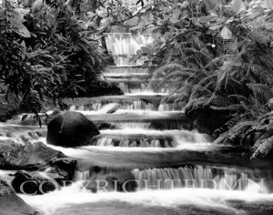 Terraced Falls, Fortuna, Costa Rica 04