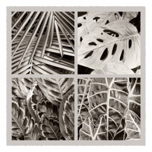 Quartet of Leaves - Geometric