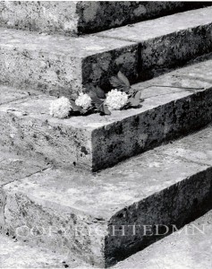 Flower Left On Step, France 99