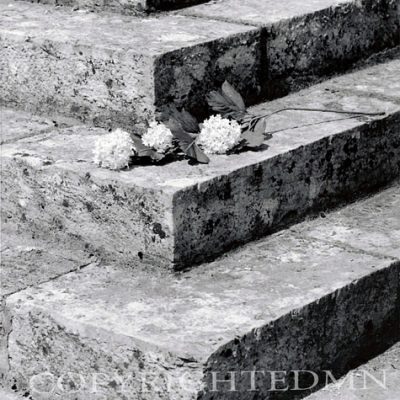 Flower Left On Step, France 99