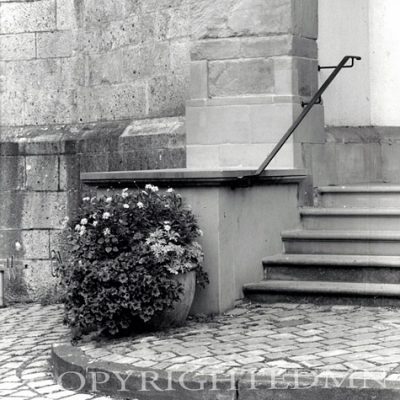 Flowers On The Steps, Lindau, Germany 04