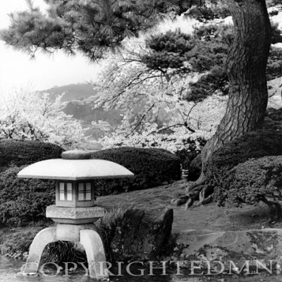 Lantern In Kenrokuen Garden, Kanazawa, Japan 05