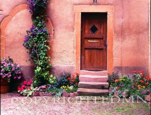 Wooden Door And Steps, France 99