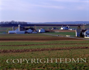 Amish Farm, Pennsylvania - Color