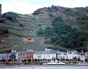 Along The Rhine #2, Germany 87