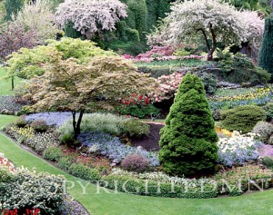 Butchart Gardens, Victoria, Canada - Color