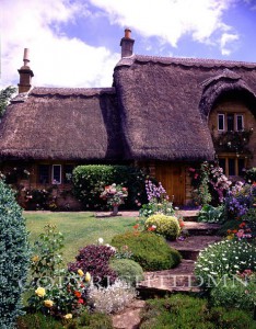 Cottage With Flowered Walkway, England - Color
