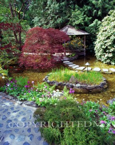 Butchart Gardens #3, Vancouver, British Columbia 07 - Color